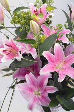 pembe lily Çiçek bahçesinde.