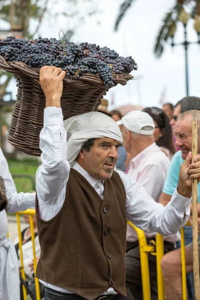 Festival del Vino de Madeira en Funchal. Madeira, Portugal . —  Fotos de Stock