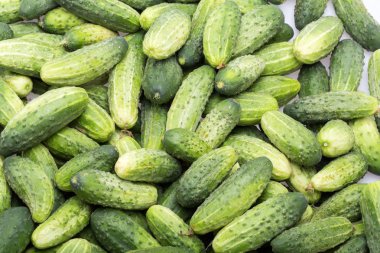 Arka planda bir sürü genç salatalık