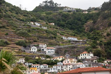 Alanları ve Batı Kıyısı boyunca evleri Porto Moniz Madeira Adası yakın. Portekiz