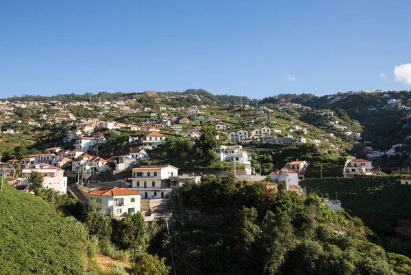 Blick über die Weinberge der Madeira Wine Company, Estreito de Camara de Lobos, Madeira, Portugal. — Stockfoto