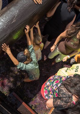 Estreito de Camara de Lobos 'ta Madeira Şarap Festivali