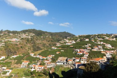 Madeira Şarap Şirketi 'nin üzüm bağları, Estreito de Camara de Lobos, Madeira, Portekiz 