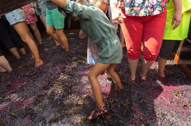 Madeira şarap Festivali Estreito de Camara de Lobos, Madeira, Portekiz geleneksel kostümleri giyen insanlar. 