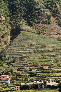  Sao Vicente 'nin çevresindeki köy ve teras ekimi. Madeira Adası, Portekiz 'in kuzey kıyısı..