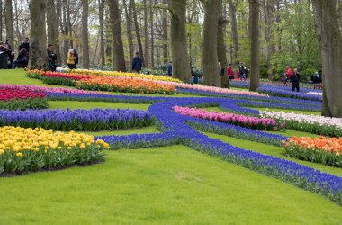 Lisse, Hollanda, Hollanda Keukenhof Garden ziyaretçi.