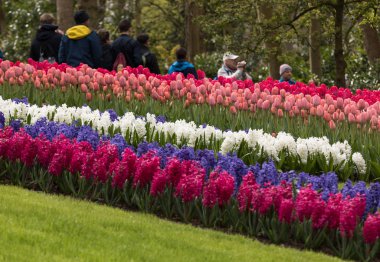 Lisse, Hollanda, Hollanda Keukenhof Garden ziyaretçi.