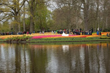 Lisse, Hollanda, Hollanda Keukenhof Garden ziyaretçi.