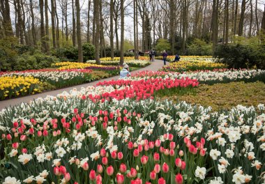 Lisse, Hollanda, Hollanda Keukenhof Garden ziyaretçi.