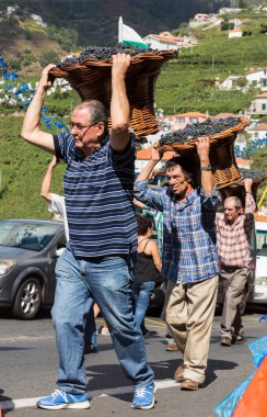 Madeira Şarap Festivali, Estreito de Camara de Lobos, Madeira, Portekiz. 