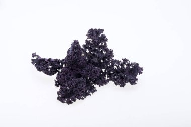 Beyaz arka plan üzerinde izole taze mor kıvırcık lahana lahana.