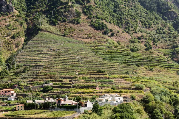 Coltivazione di villaggi e terrazze nei dintorni di Sao Vicente. Costa settentrionale dell'isola di Madeira, Portogallo — Foto Stock