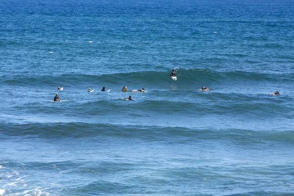 Surfaři v akci na ostrově Madeira. Portugalsko — Stock fotografie