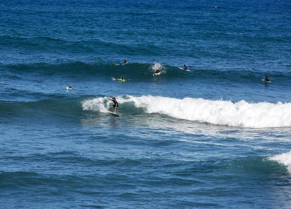 Surfaři v akci na ostrově Madeira. Portugalsko — Stock fotografie