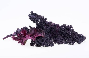 Beyaz arka plan üzerinde izole taze mor kıvırcık lahana lahana