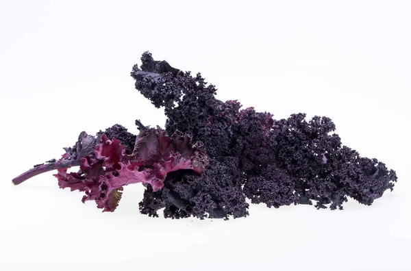 Beyaz arka plan üzerinde izole taze mor kıvırcık lahana lahana