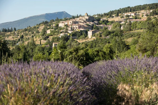 Um campo de lavanda com a aldeia de Aurel além, o Vaucluse, Provence, França — Fotografia de Stock
