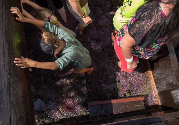 Madeira Wine Festival in Estreito de Camara de Lobos, Madeira, Portugal. — Stock Photo, Image