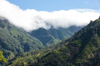 Güneye doğru--dan belgili tanımlık geçmek Boca da Encumeada Madeira görüntülemek