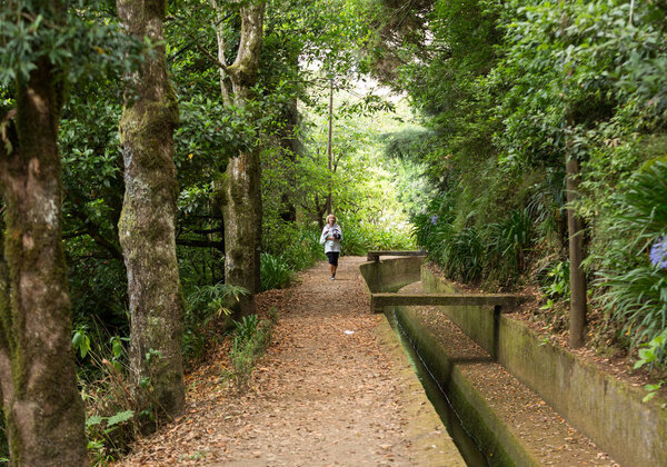Левада-ду-Норте около Бока-да-Энкумеада на острове Мадейра. Португалия
