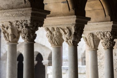  Arles, Fransa yakınlarındaki Montmajour 'da Aziz Peter Manastırı.