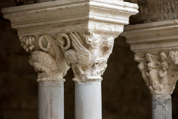  Arles, Fransa yakınlarındaki Montmajour 'da Aziz Peter Manastırı.