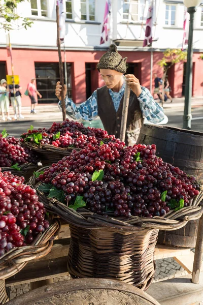 Festival del Vino de Madeira en Funchal. Madeira, Portugal . —  Fotos de Stock