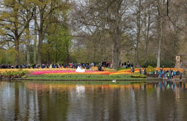 Lisse, Hollanda, Hollanda Keukenhof Garden ziyaretçi.