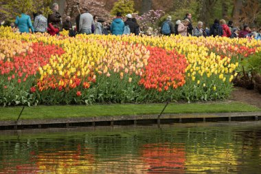 Lisse, Hollanda, Hollanda Keukenhof Garden ziyaretçi.