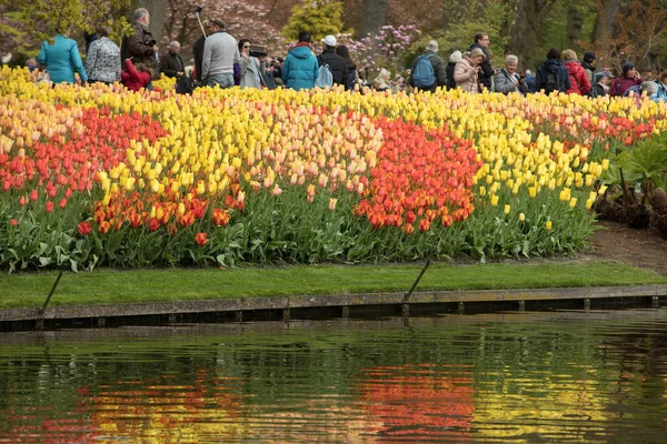 Visitantes en el Keukenhof Garden en Lisse, Holanda, Países Bajos . — Foto de Stock