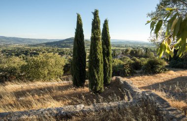 Provence, Fransa Saint-Saturnin-les-Apt Muehle içinde içinde üç selvi