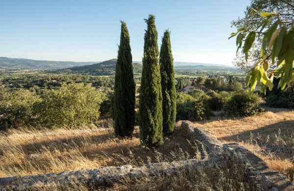 Τρία κυπαρίσσια στο στο Saint-Saturnin-les-Apt χρησιμοποιεί στην Προβηγκία, Γαλλία — Φωτογραφία Αρχείου