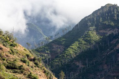 Güneye doğru--dan belgili tanımlık geçmek Boca da Encumeada Madeira görüntülemek