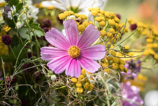 Handmade  beautiful bouquets from flowers and herbs. — Stock Photo, Image