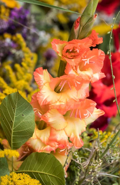 Beaux bouquets faits à la main de fleurs et d'herbes . — Photo