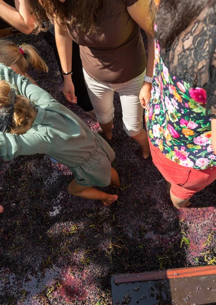 Madeira Wine Festival in Estreito de Camara de Lobos, Madeira, Portugal. — Stock Photo, Image