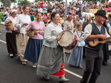 Funchal 'da Madeira Şarap Festivali. Madeira, Portekiz