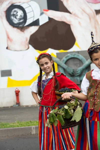 Funchal 'da Madeira Şarap Festivali. Madeira, Portekiz