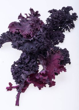 Beyaz arka plan üzerinde izole taze mor kıvırcık lahana lahana