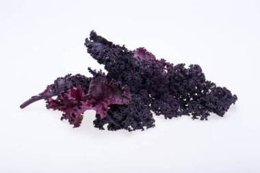 Beyaz arka plan üzerinde izole taze mor kıvırcık lahana lahana