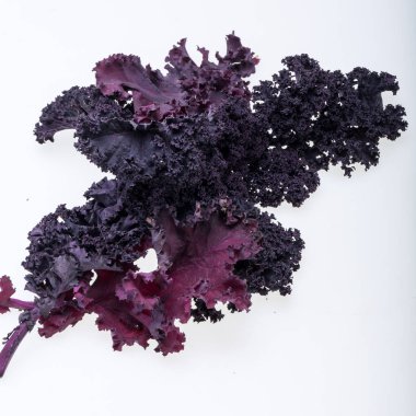 Beyaz arka plan üzerinde izole taze mor kıvırcık lahana lahana