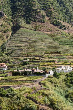  Sao Vicente 'nin çevresindeki köy ve teras ekimi. Madeira Adası, Portekiz 'in kuzey kıyısı.