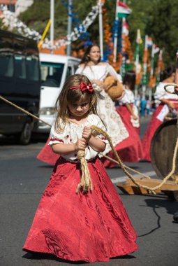 Madeira Şarap Festivali, Estreito de Camara de Lobos, Madeira, Portekiz. 