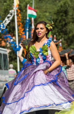 Madeira Şarap Festivali, Estreito de Camara de Lobos, Madeira, Portekiz. 