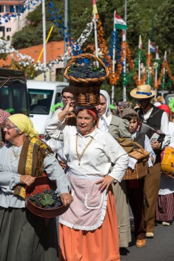 Madeira Şarap Festivali, Estreito de Camara de Lobos, Madeira, Portekiz. 