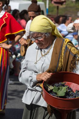 Madeira Şarap Festivali, Estreito de Camara de Lobos, Madeira, Portekiz. 