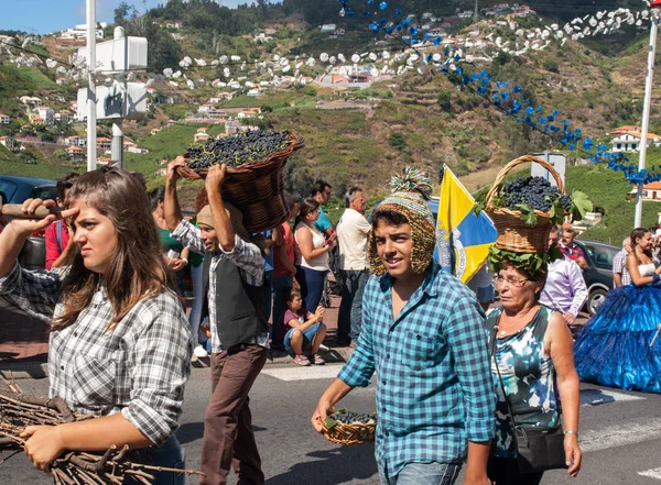 Madeira Şarap Festivali, Estreito de Camara de Lobos, Madeira, Portekiz. 