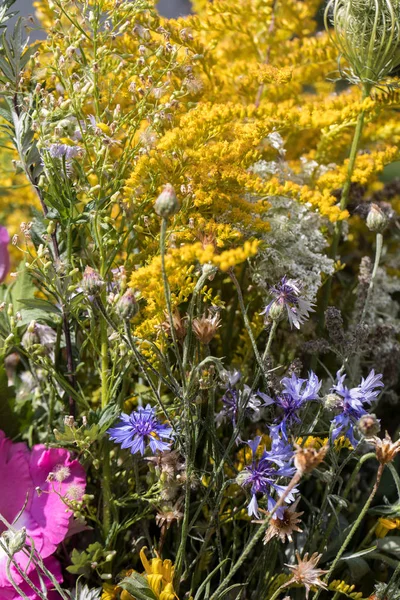 Handgefertigte schöne Sträuße aus Blumen und Kräutern — Stockfoto