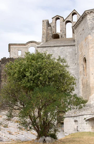 Abbazia di San Pietro a Montmajour vicino ad Arles, Francia — Foto Stock