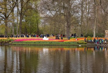 Lisse, Hollanda, Hollanda Keukenhof Garden ziyaretçi.